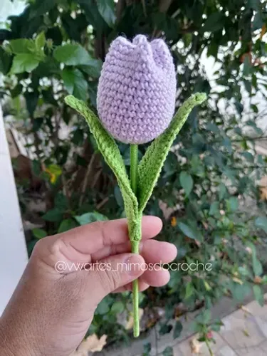 Flor Tulipa Amigurumi Crochê 