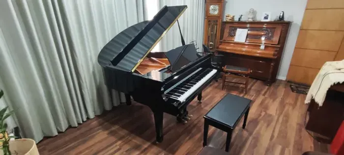 Piano, afinação, transporte, locação e restauração.
