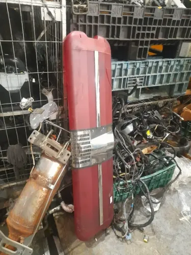 Giroflex ambulancia (Descrição)