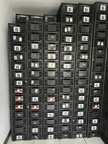 Lote com 1500 caixas plástica