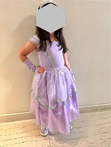 Fantasia Vestido de Princesa Sofia Luxo veste 4 a 7