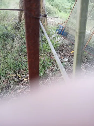 Tanque rede