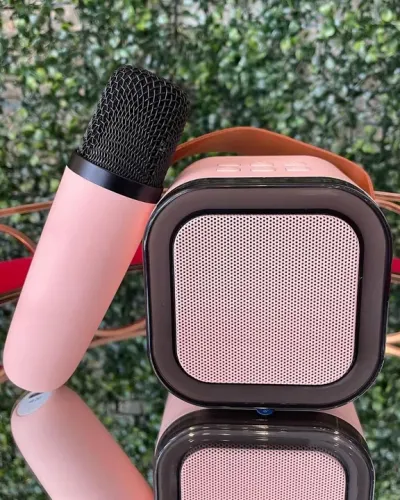 Karaokê Bluetooth alto falante Portátil 30W com 2 microfones