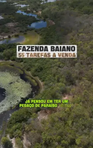 VENDO FAZENDA NA CHAPADA DIAMANTINA
