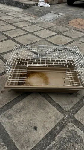 Gaiola para coelho