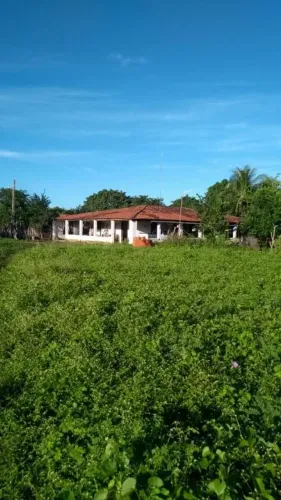 Fazenda à venda, 1500000 m² por R$ 2.300.000,00 - Aracati - Aracati/CE