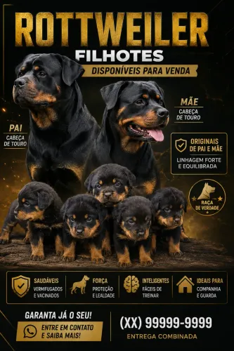 Vendo filhotes de cachorro Rottweiler 