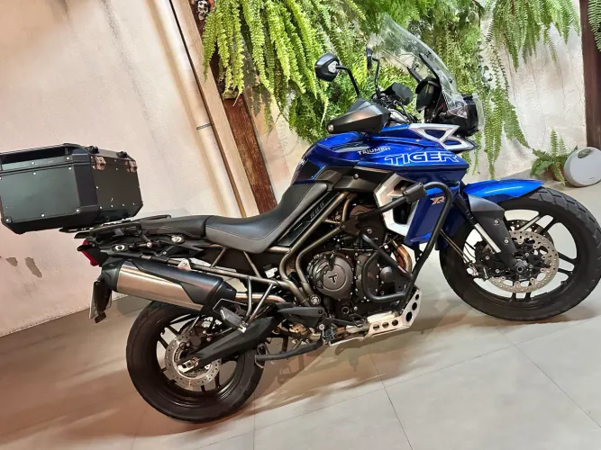 Tiger XRX 800 2019/19