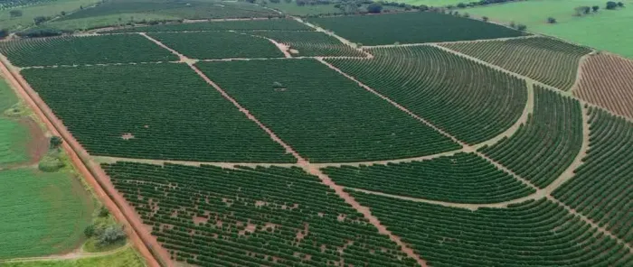 Fazenda café mecanizados ,irrigados ..