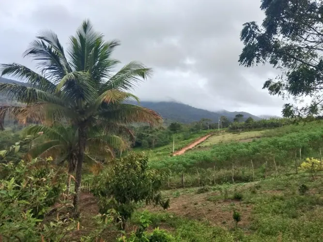 sitio a venda