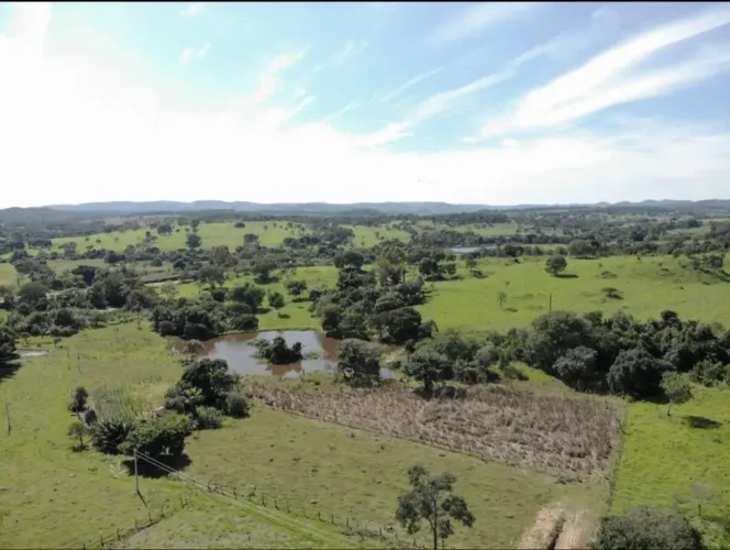 CHÁCARA À VENDA EM PETROLINA DE GOIÁS 4 ALQUEIRESS