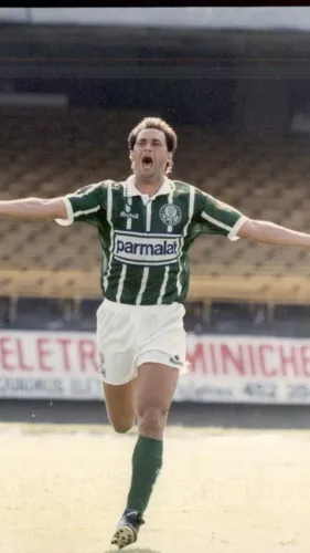 Camisa Original Palmeiras Rhumell Parmalat Evair 1994 