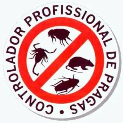"dedetizadora, no Siqueira.