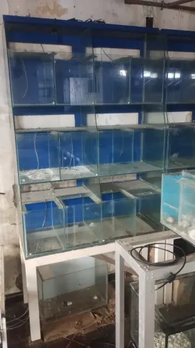 Aquario