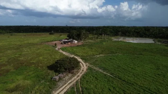 375 hectares com 250 em pasto há 280 km de Belém R$ 3 milhões de reais
