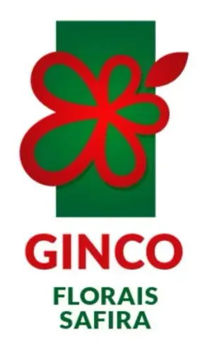 Florais Safira Oportunidade única