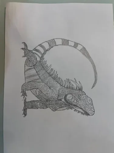 Desenho artístico 