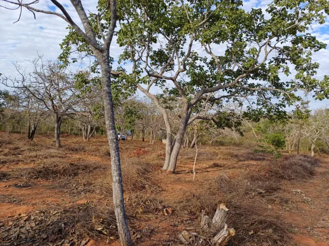 Chácara em Mirabela 