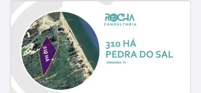 310 Hectares Pedra do Sal - Parnaíba/PI