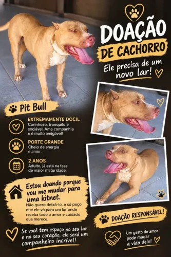 Pit Bull