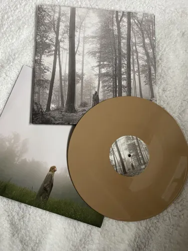 Taylor Swift - folklore (vinil)