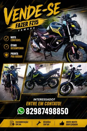 Vendo fz15