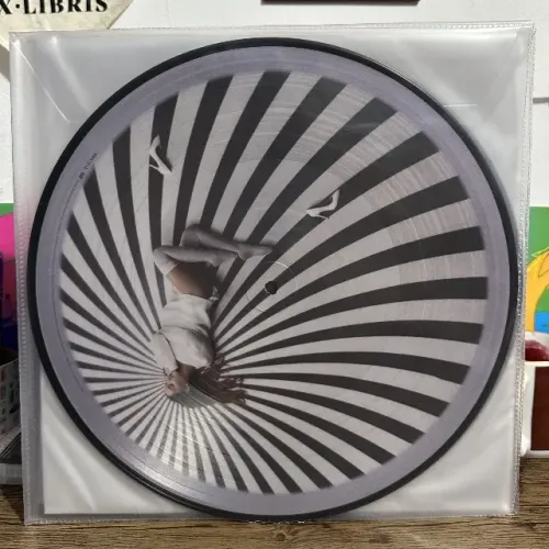 ARIANA GRANDE - MY EVERYTHING (2LP PICTURE DISC / 10TH ANNIVERSARY EDITION)