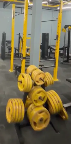 ANILHAS DE ACADEMIA