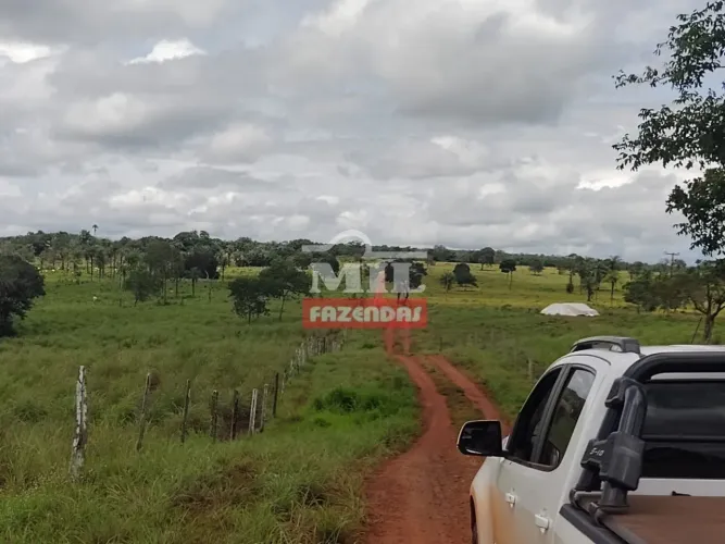 Fazenda no Sul do Maranhão. . 7.000 Há. (Dupla Aptidão)