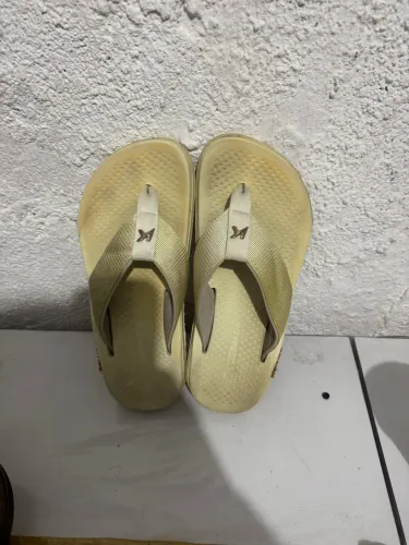 Vende esse Kenner