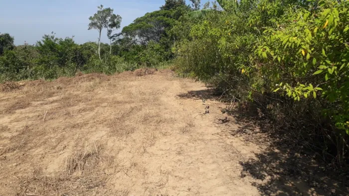Vendo terreno em salgado.