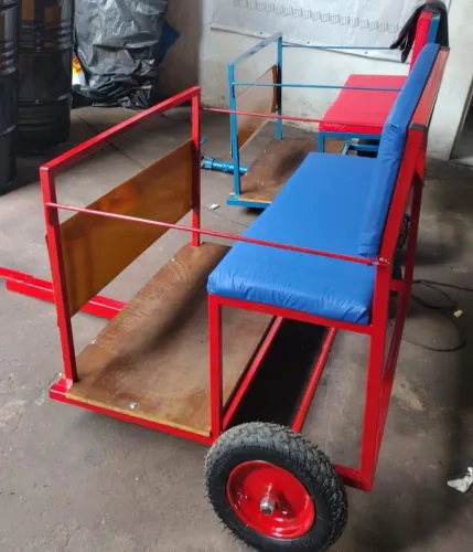 Vagões para passeio
