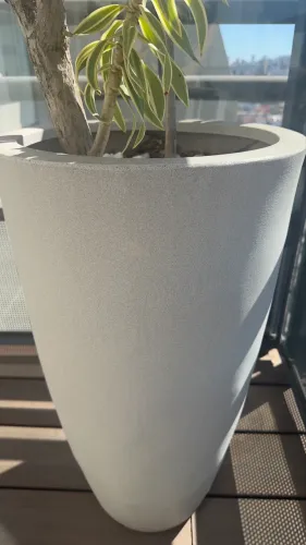 Vaso com planta