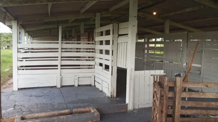 FAZENDA À VENDA APTIDÃO PARA CANA E GADO