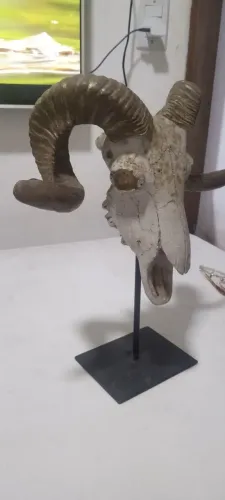Crânio de carneiro decorativo 