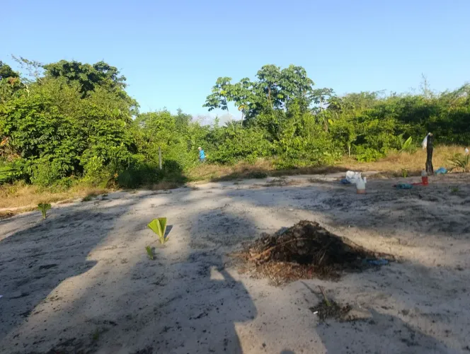 Terreno no Pajuçara