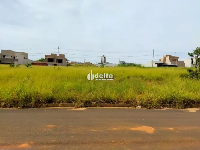 Terreno disponível para venda no bairro Umuarama em Uberlândia-MG