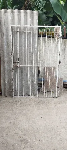 Portão de Ferro Inteiro Só Instalar
