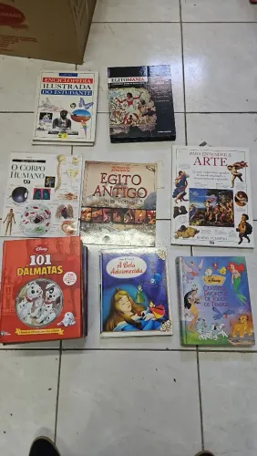 Lote de Livros Diversos
