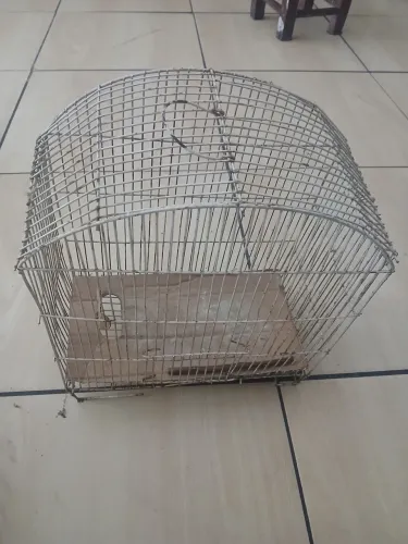 VENDO GAIOLA