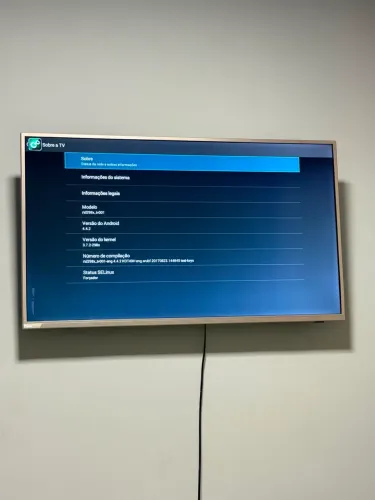Televisão Philco 42 Polegadas (Não é Smart).