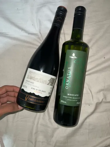Vinho
