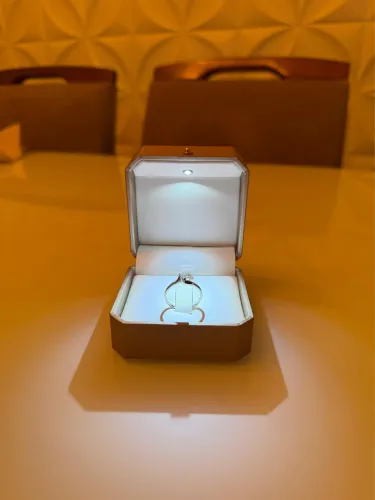 Aliança Solitária de Ouro Branco com Pedra de Diamante