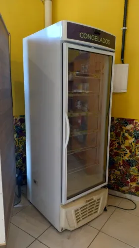 Expositor Vertical Congelados 570 lts GELOPAR  Vai a -25°C
