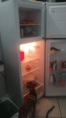 Vende - se geladeira