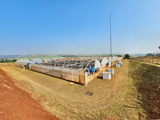 Rural Fazendas - Sitios em São Simão