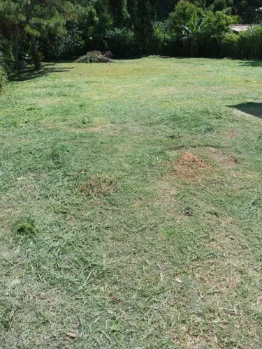 Vendo terreno 100% plano em Itaipava