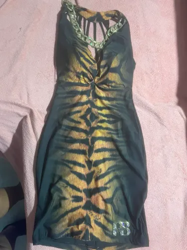 Vendo vestido da PIT BULL