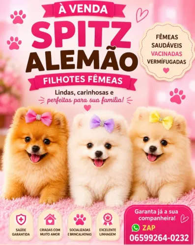 Princesas