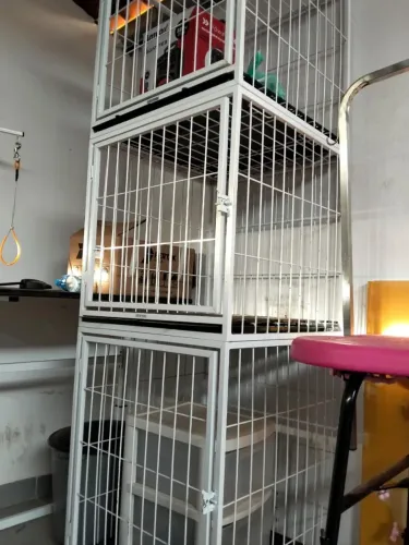 Vendo todos acessórios para loja pet banho e tosa. * zap